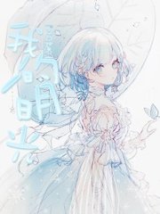 老狼宏官网
